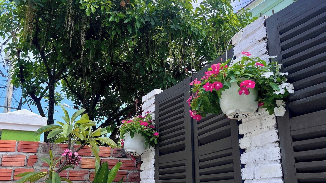 Photo of Outdoor in Ngu Hanh Son