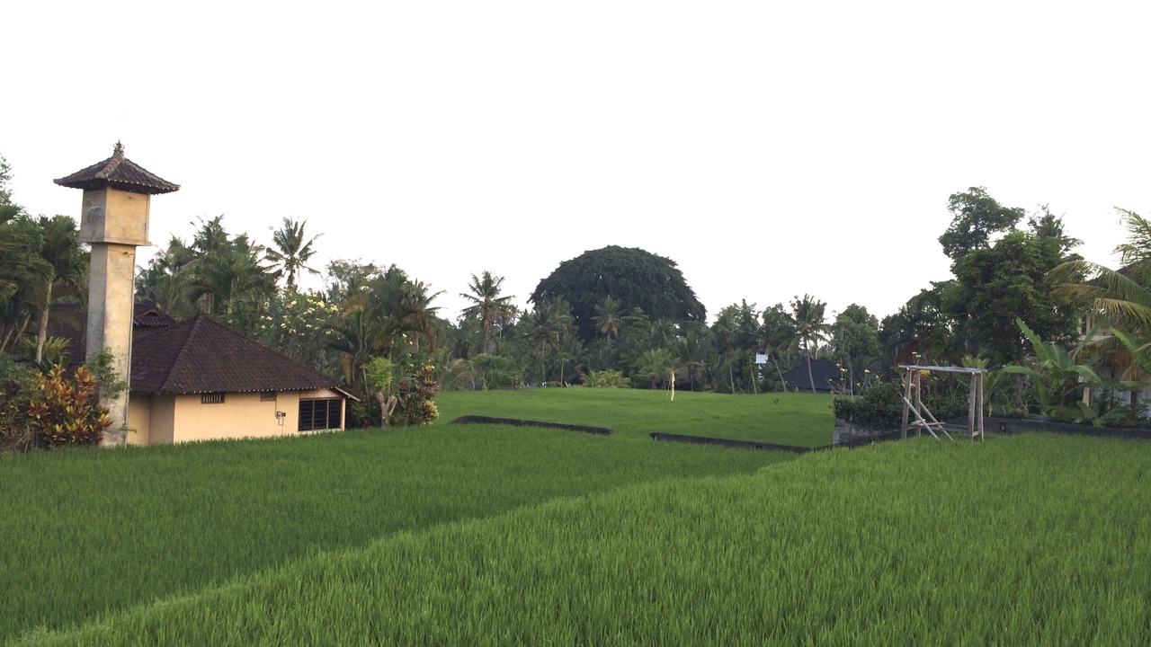 Photo of Outdoor in Sayan