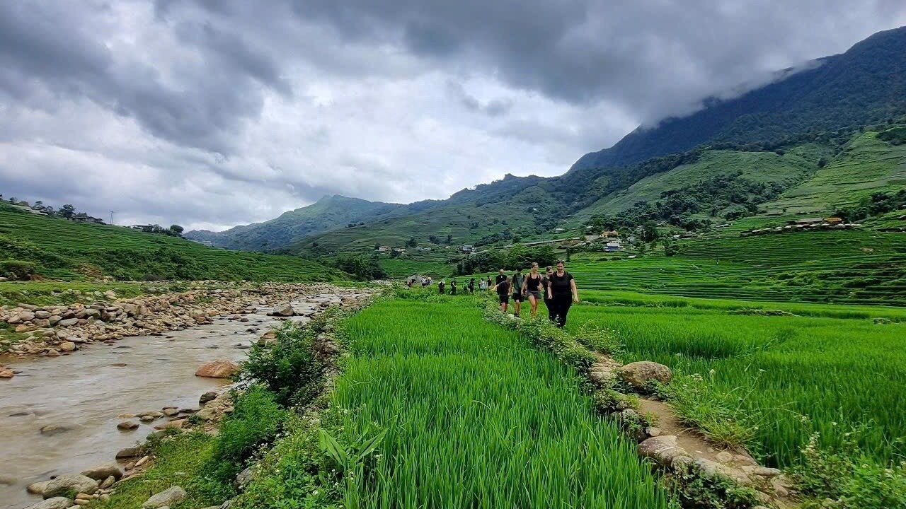 Photo of Others in Chapa Bas