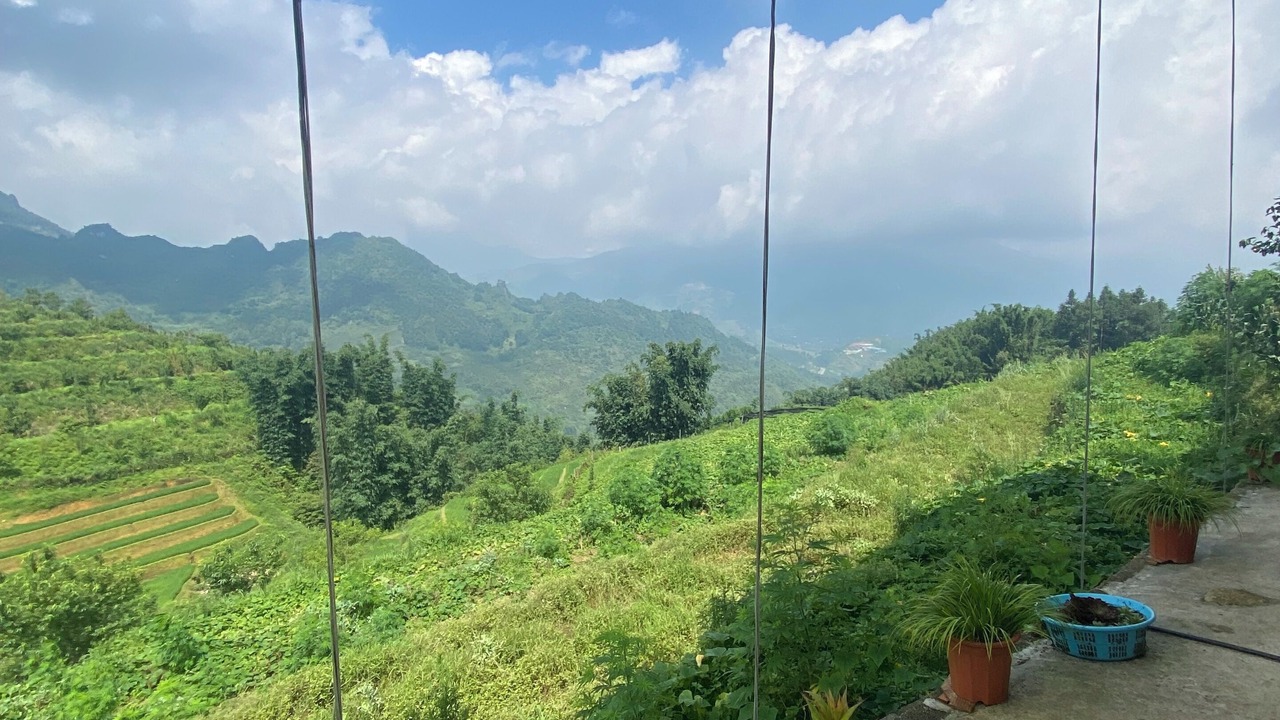 Photo of Outdoor in Chapa Bas