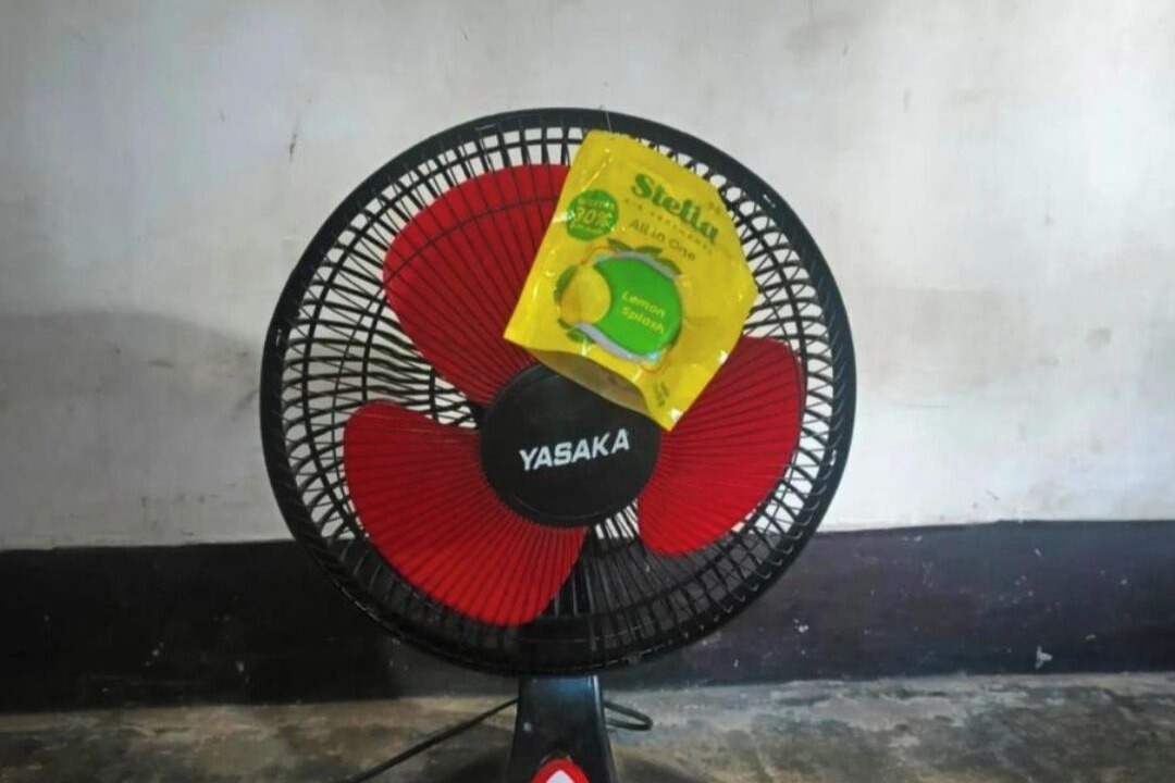 Photo of Others in Selong