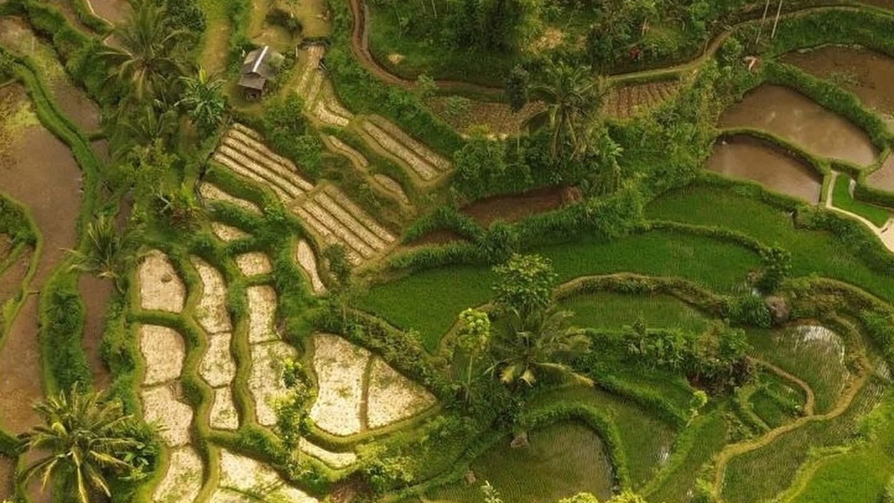Photo of Outdoor in Selong