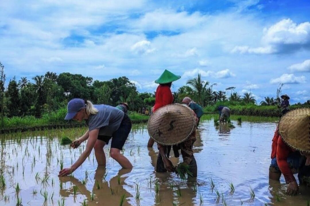 Photo of Others in Selong