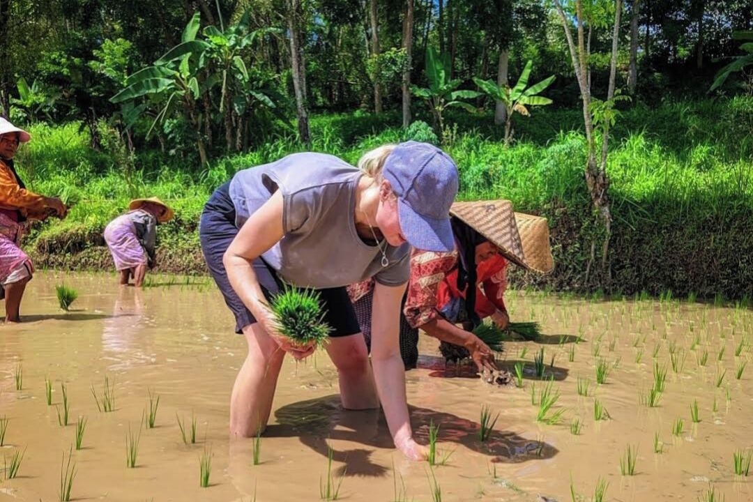 Photo of Others in Selong