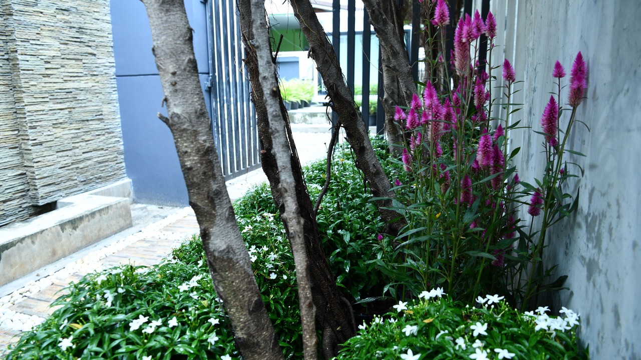 Photo of Outdoor in Wang Thonglang