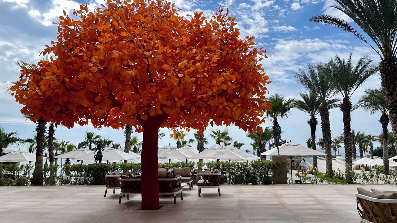 Photo of Patio Balcony in San Jose del Cabo