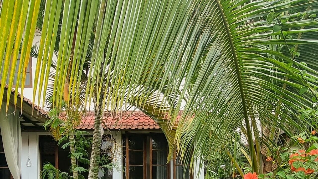 Photo of Outdoor in Mumbul