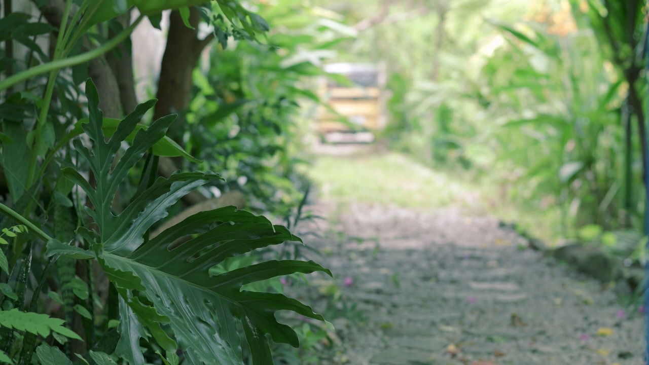 Photo of Outdoor in Hue