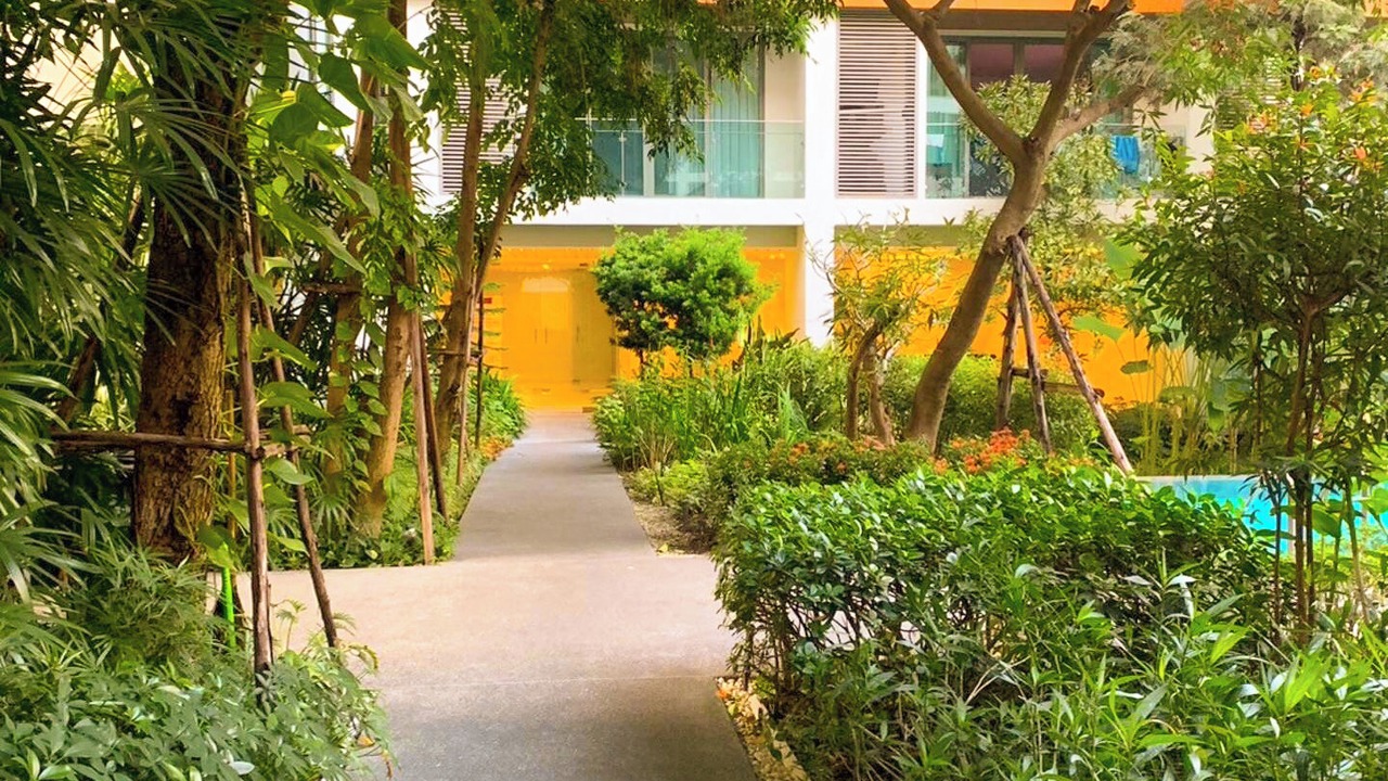 Photo of Outdoor in Nimman