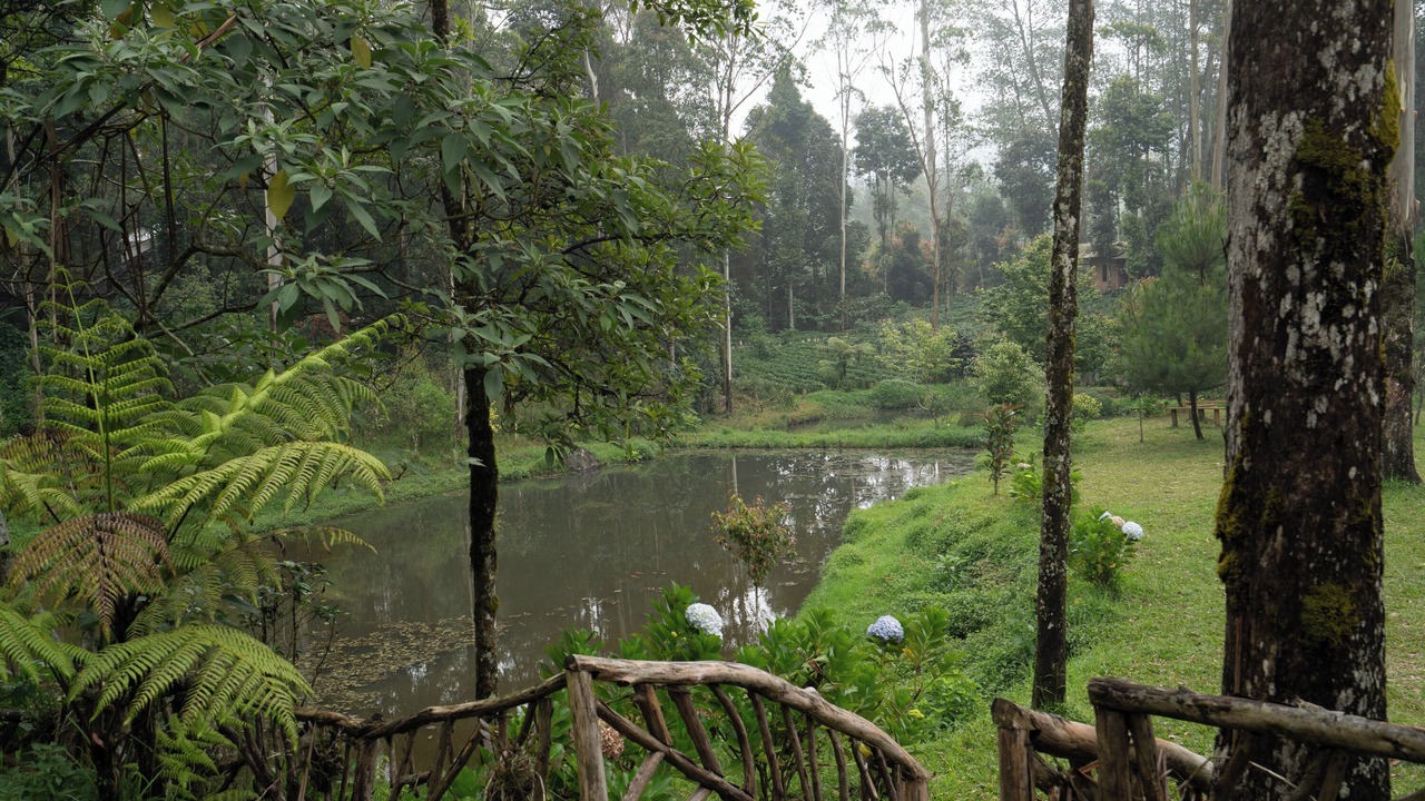 Photo of Outdoor in Rancabali
