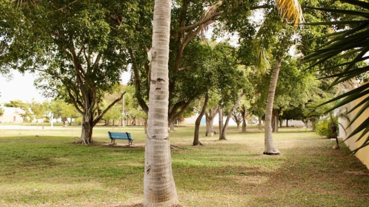 Photo of Outdoor in Lomas de Mazatlan