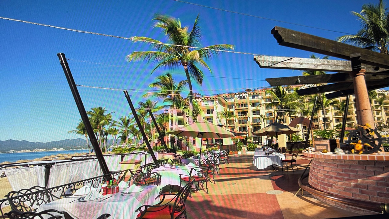 Photo of Outdoor in Flamingos