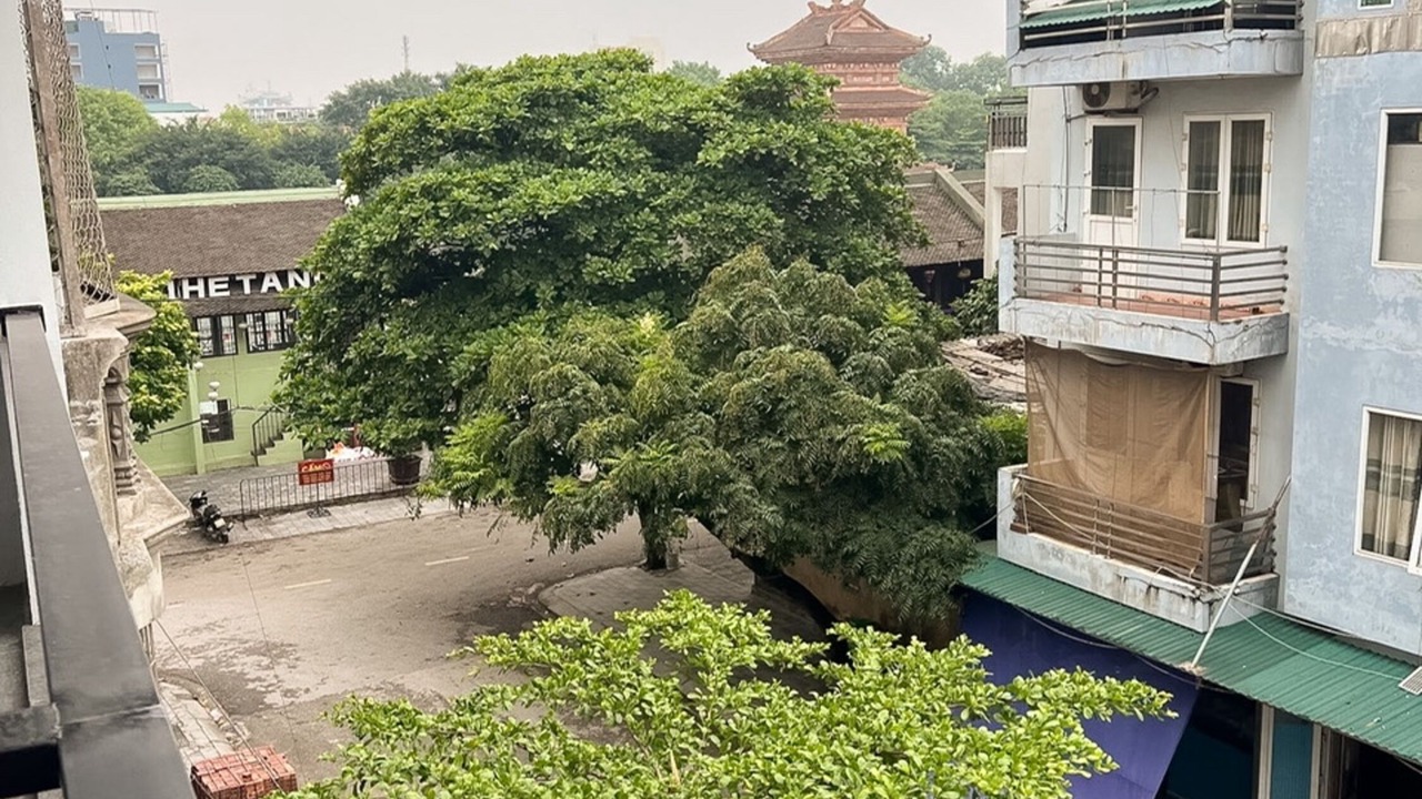 Photo of Outdoor in Ninh Binh