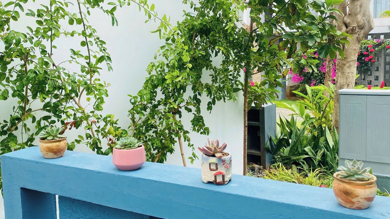 Photo of Outdoor in Long Hai