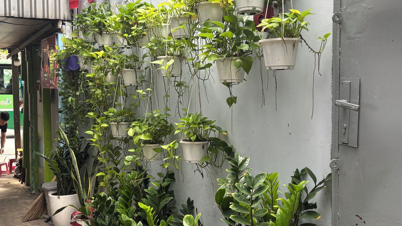 Photo of Outdoor in Ben Thanh