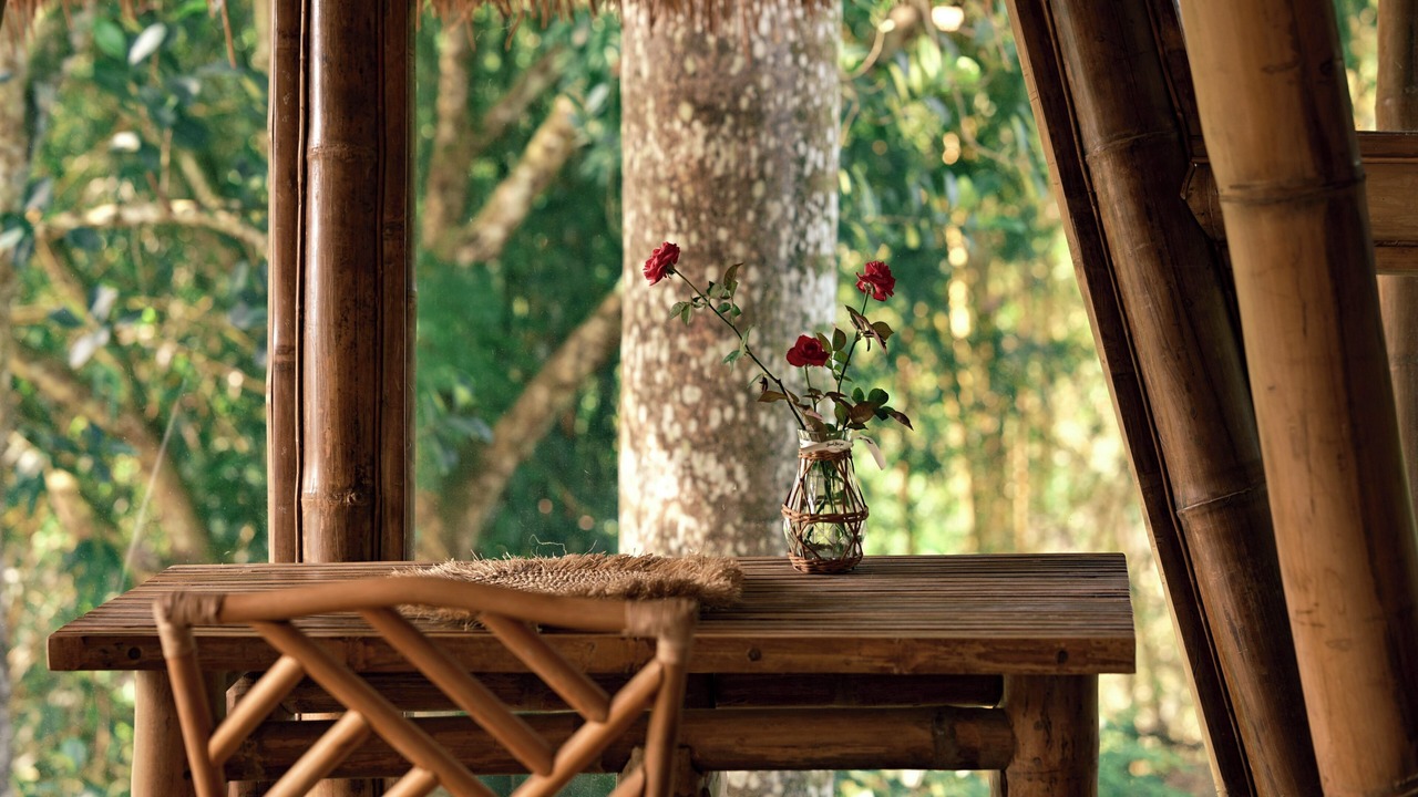 Photo of Outdoor in Luong Son