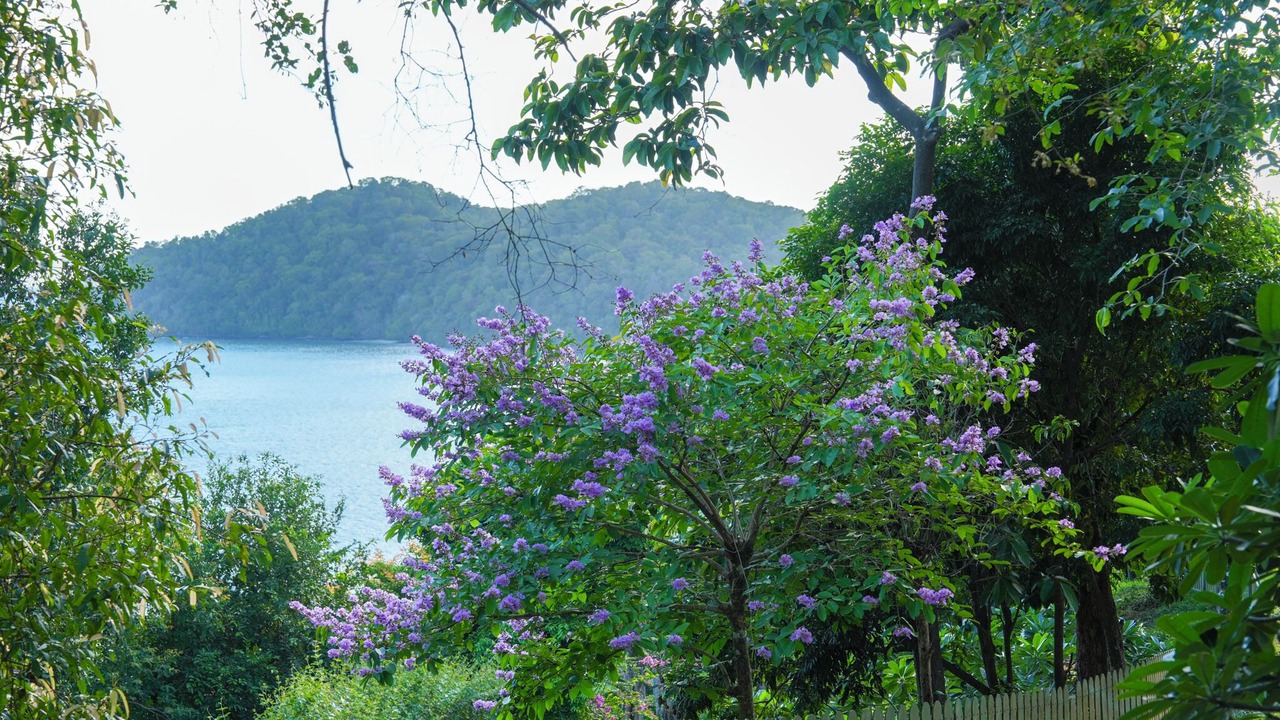 Photo of Outdoor in Pantai Tengah
