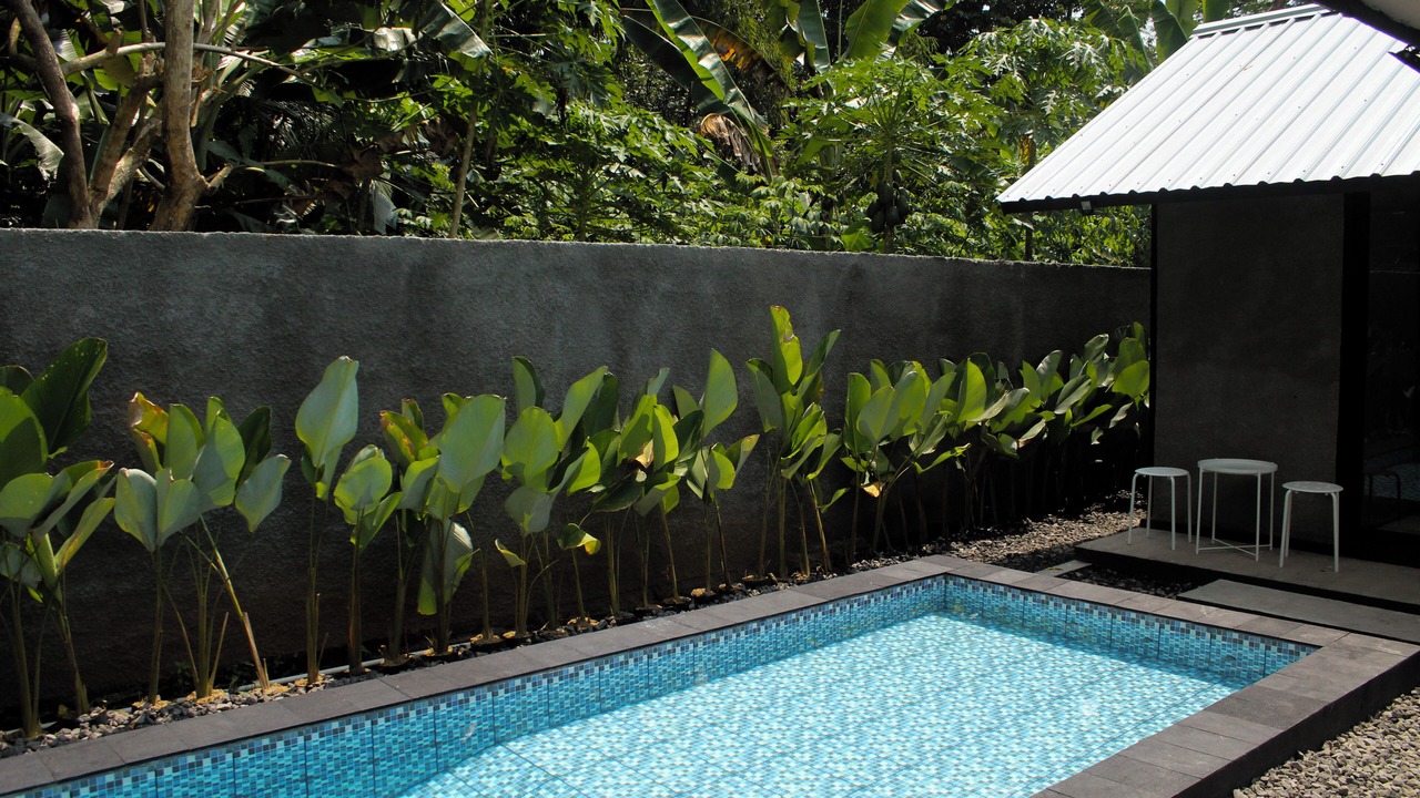 Photo of Outdoor in Borobudur