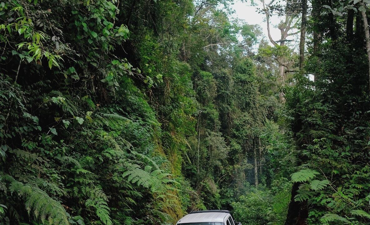 Photo of Others in Langkat