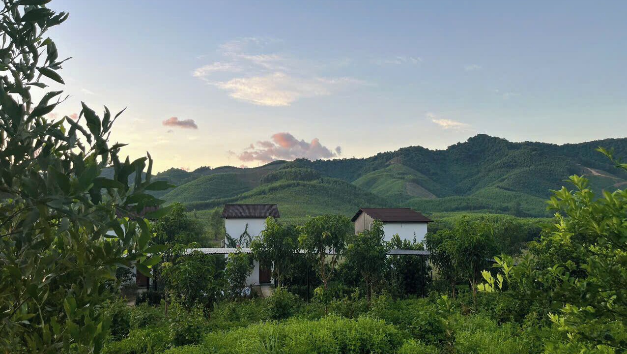 Photo of Outdoor in Son Trach