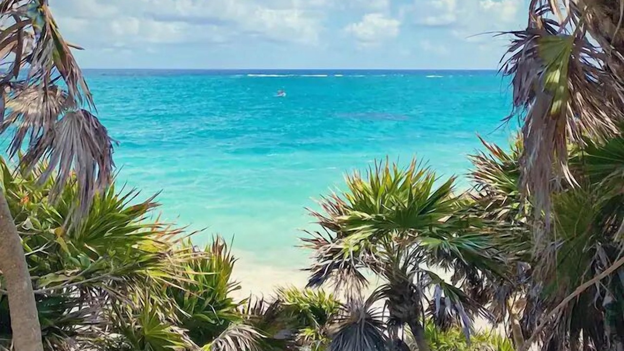 Photo of Others in Akumal