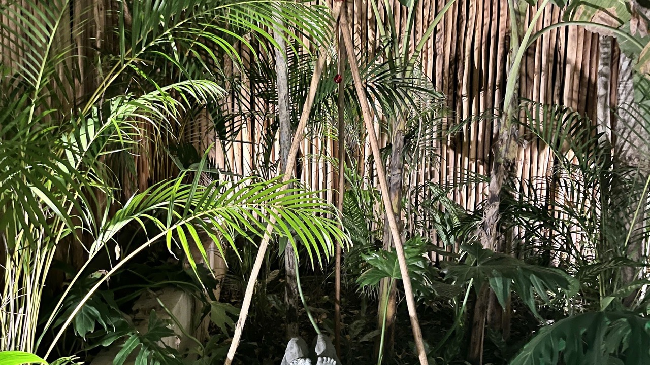 Photo of Outdoor in Zama