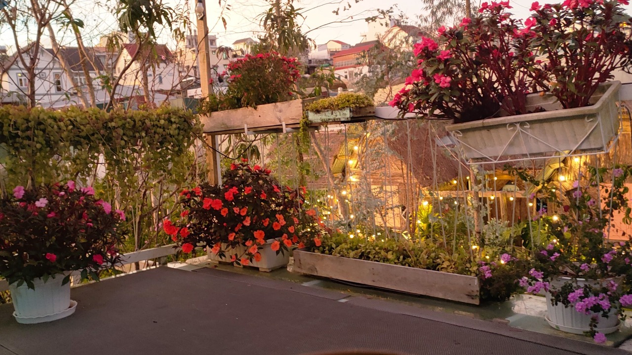 Photo of Outdoor in Phuong