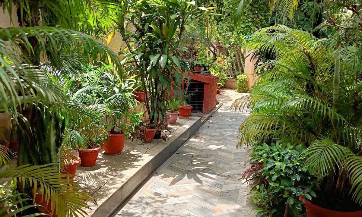 Photo of Outdoor in New Delhi