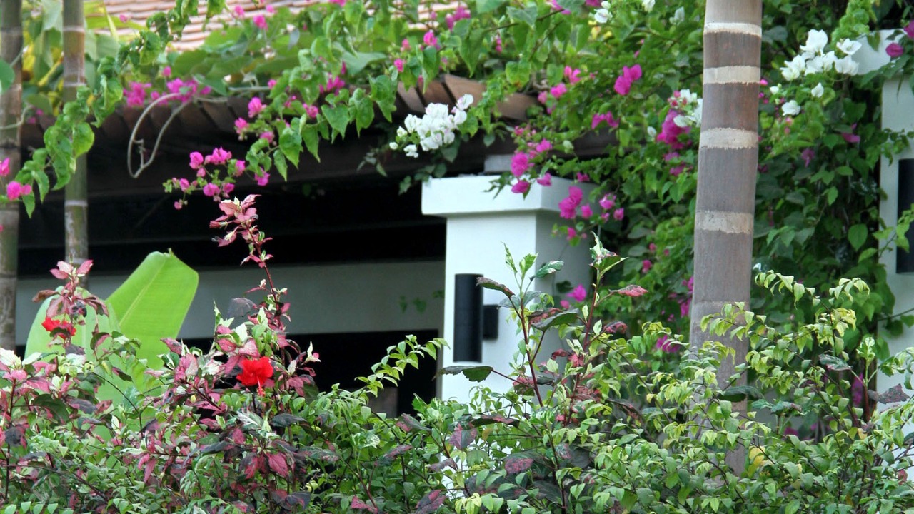 Photo of Outdoor in Wat Bo Area