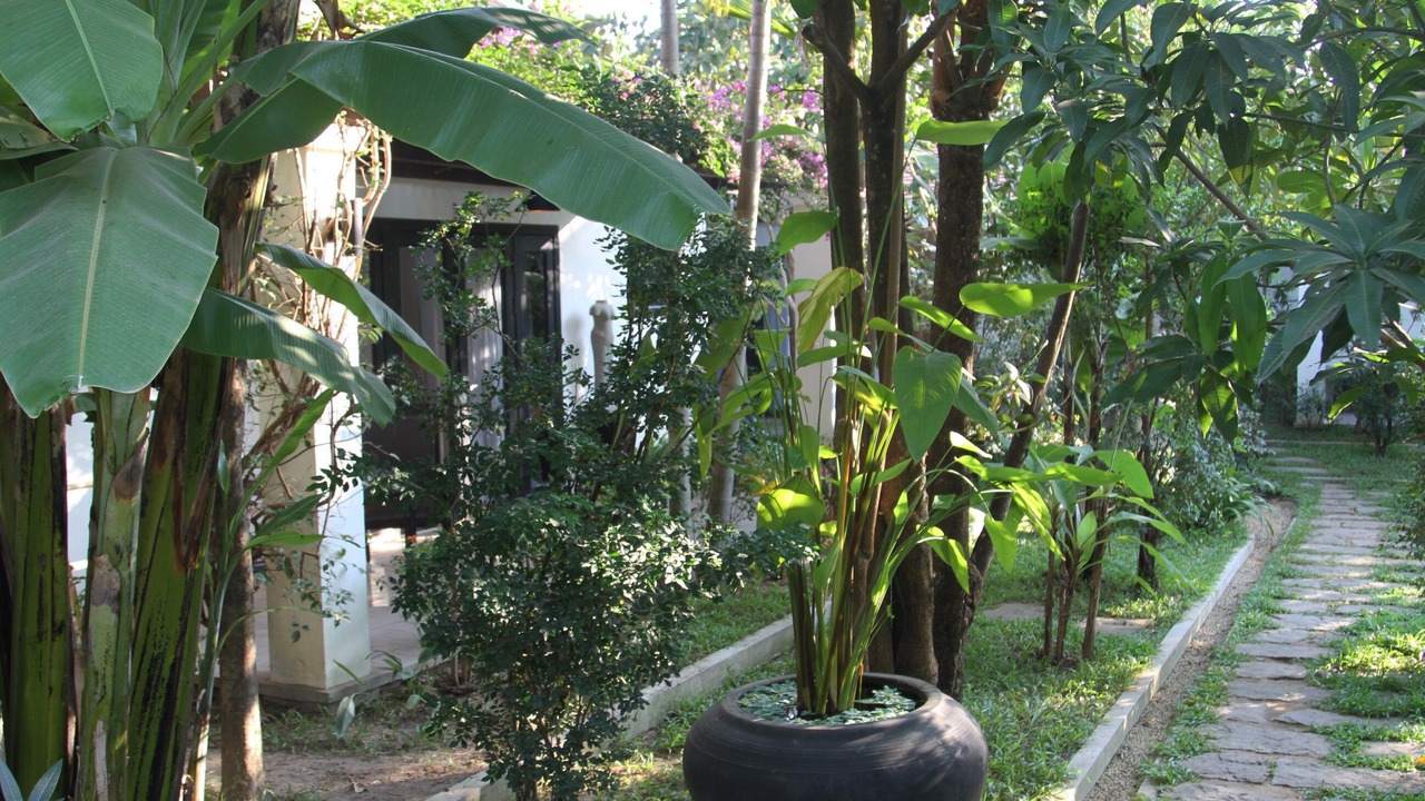 Photo of Outdoor in Wat Bo Area