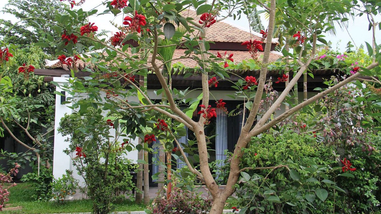 Photo of Outdoor in Wat Bo Area