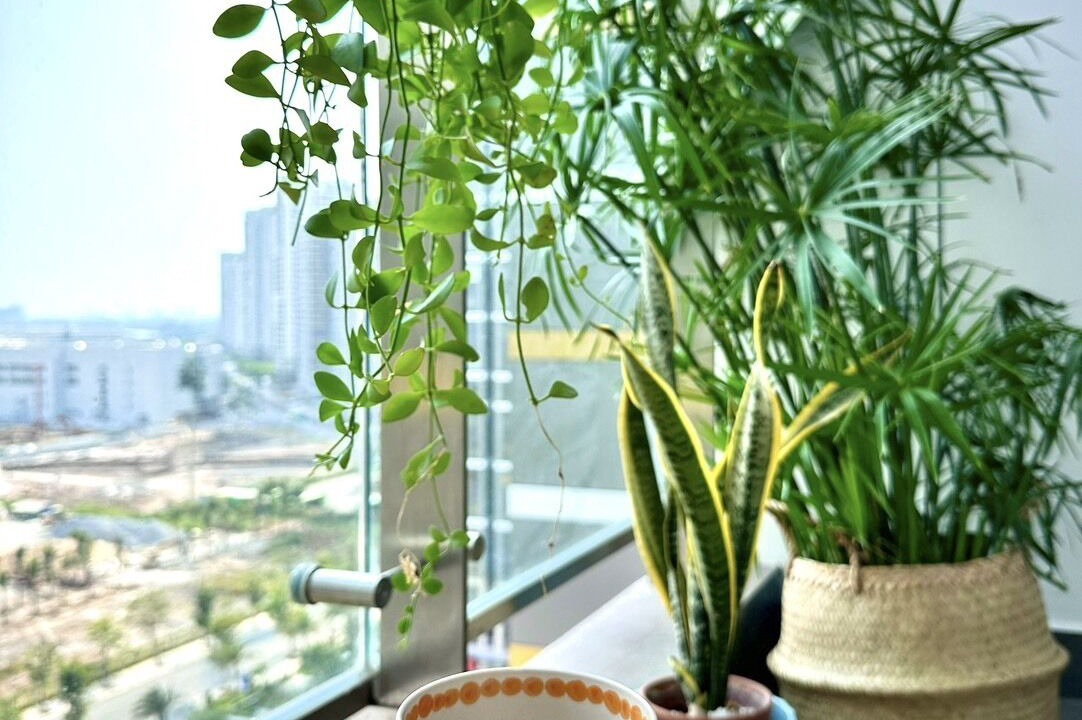 Photo of Bedroom in District 9