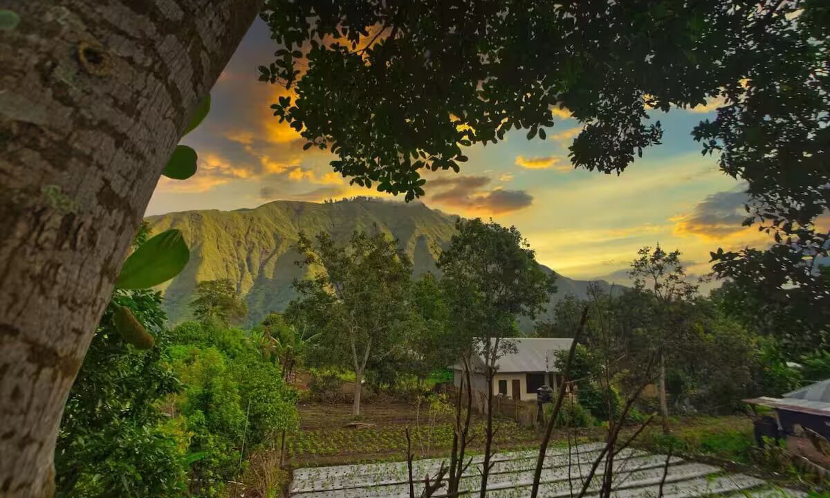 Photo of Outdoor in Kecamatan Sembalun