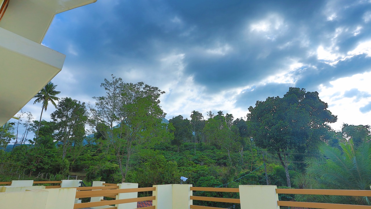 Photo of Outdoor in Kottappadi part