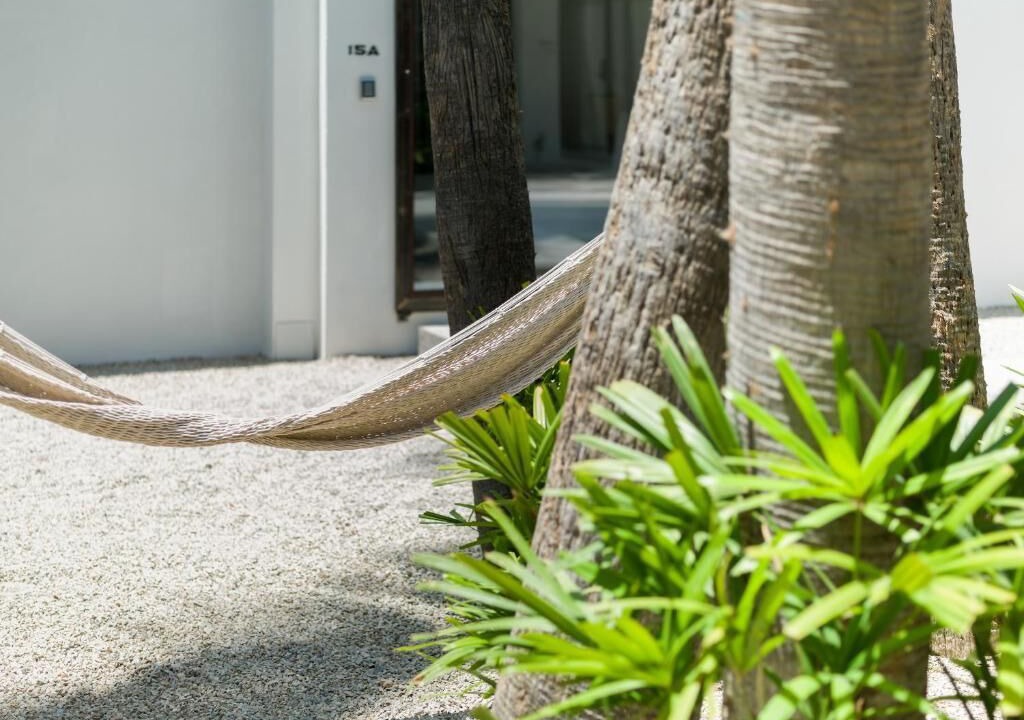 Photo of Outdoor in Downtown San Jose del Cabo