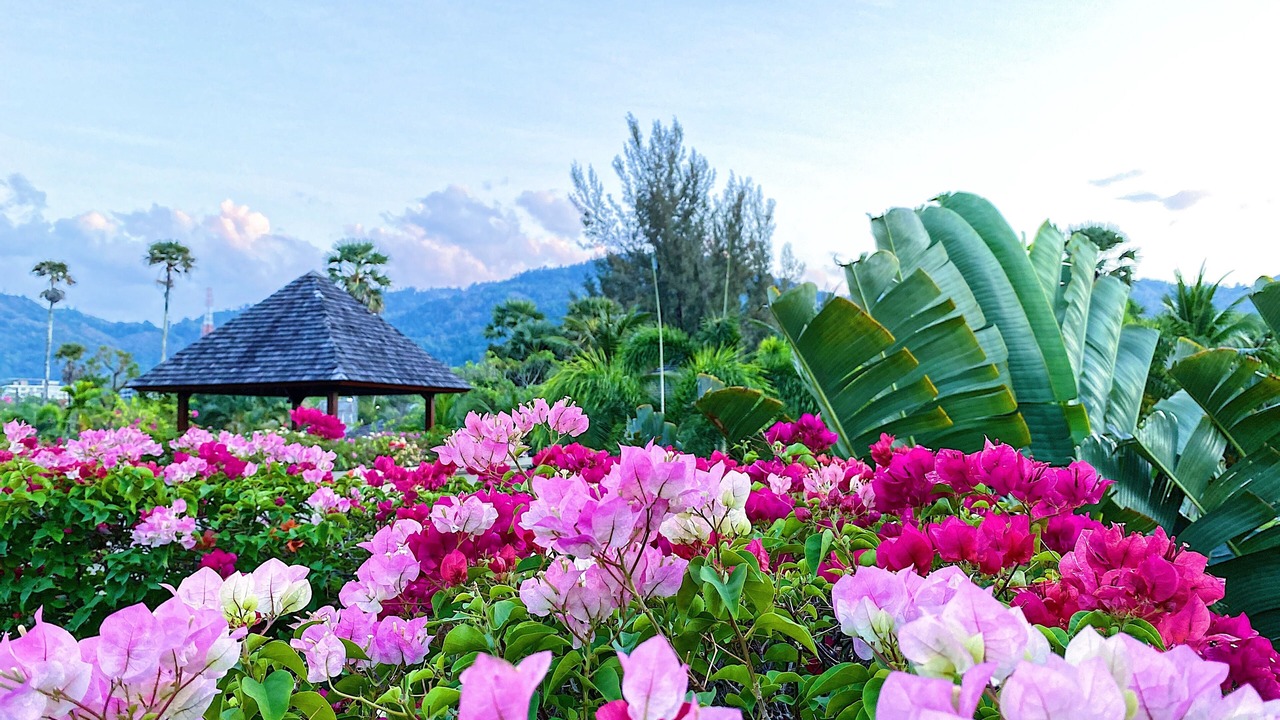 Photo of Outdoor in Cherngtalay