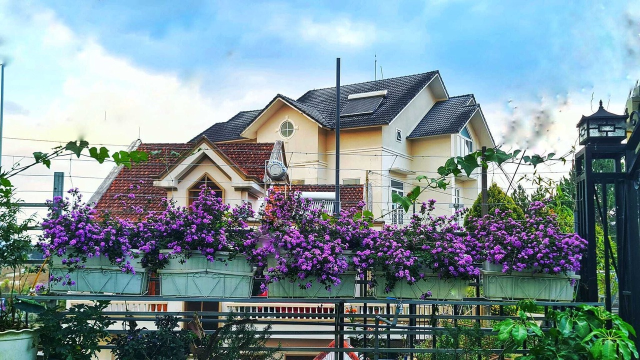 Photo of Outdoor in Phuong