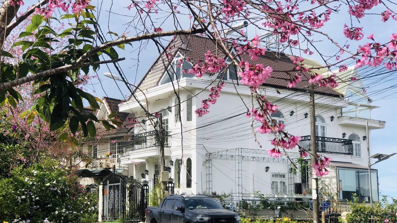 Photo of Outdoor in Phuong