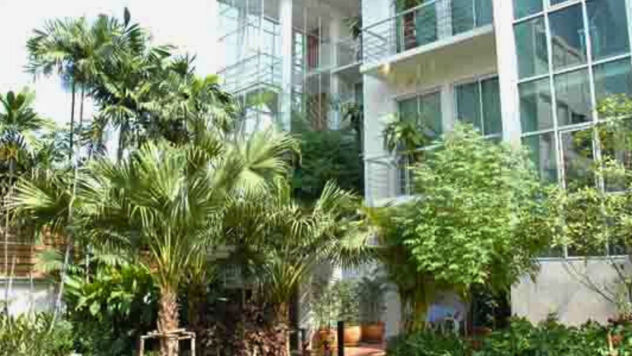 Photo of Outdoor in Khao San
