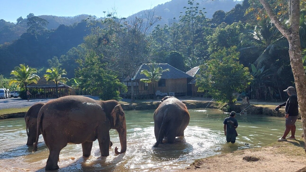 Photo of Bedroom in Cherngtalay