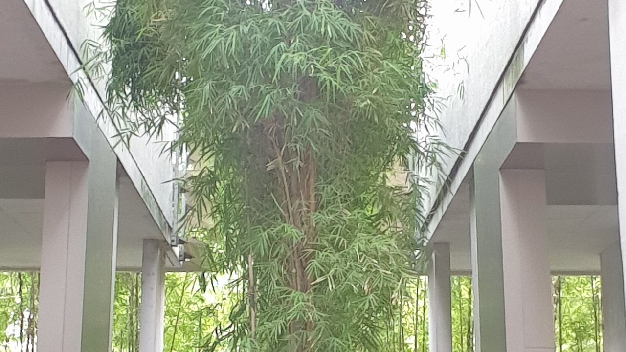 Photo of Outdoor in Cikarang