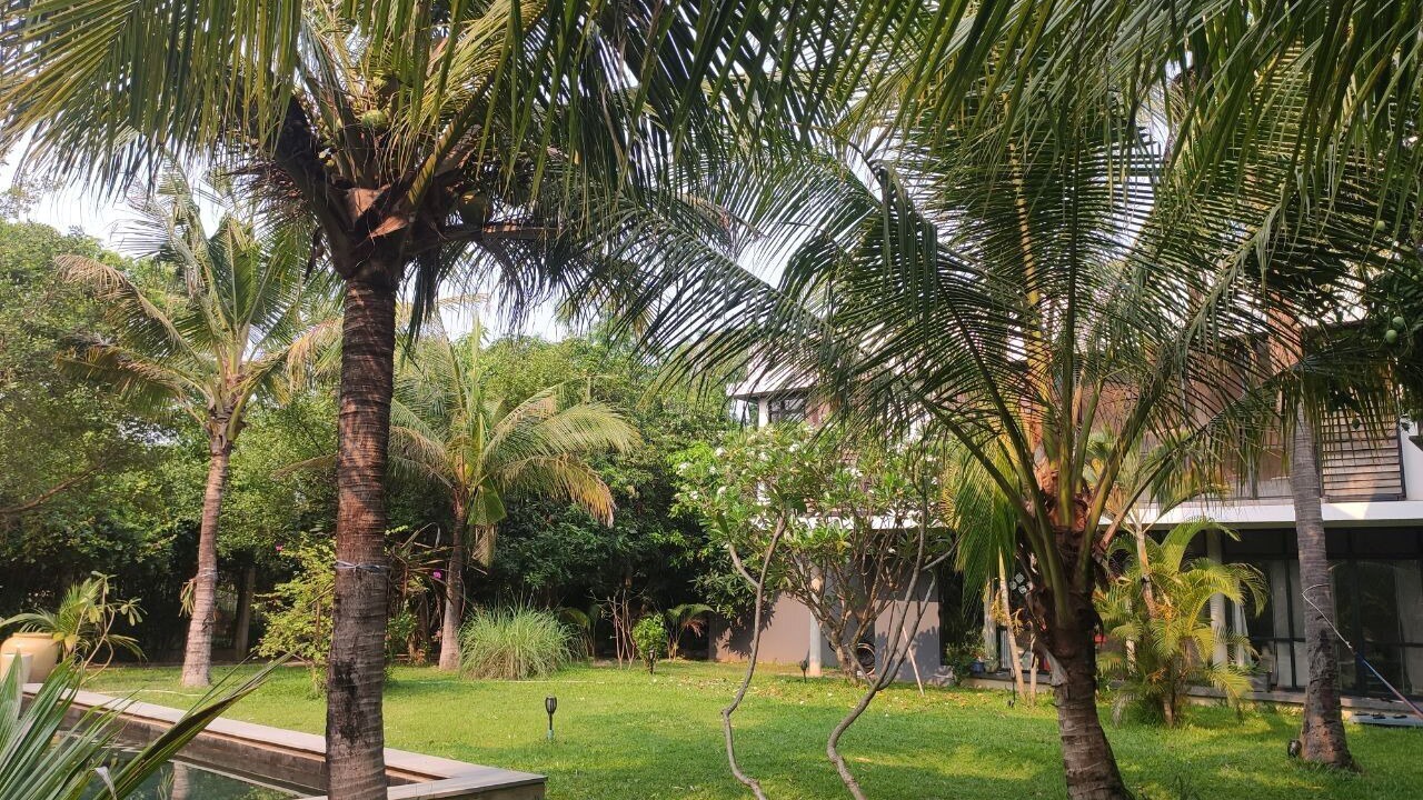 Photo of Outdoor in Siem Reap
