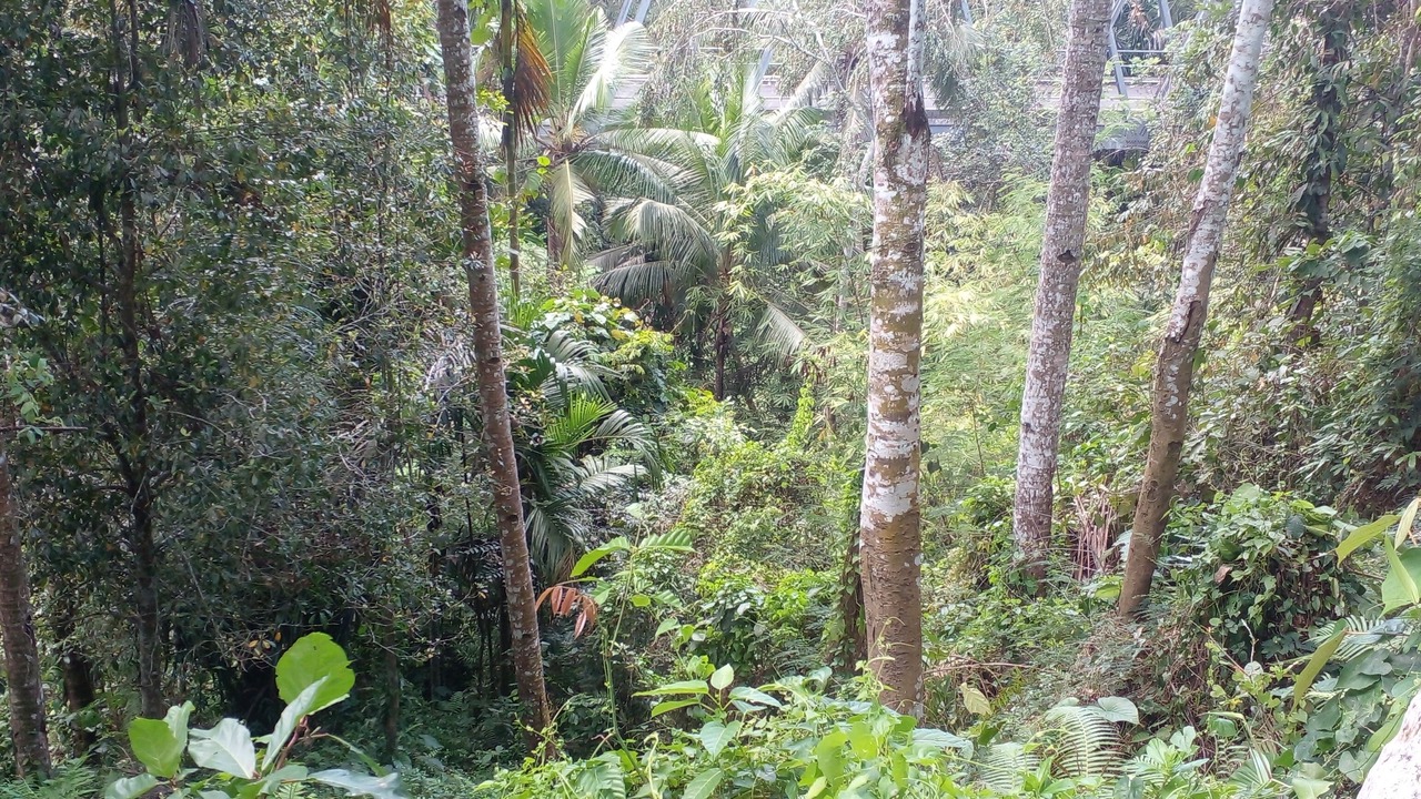 Photo of Others in Banjarangkan