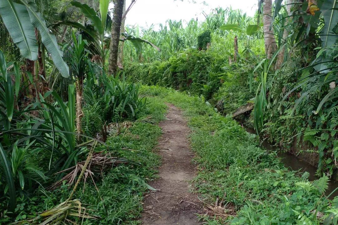 Photo of Others in Banjarangkan