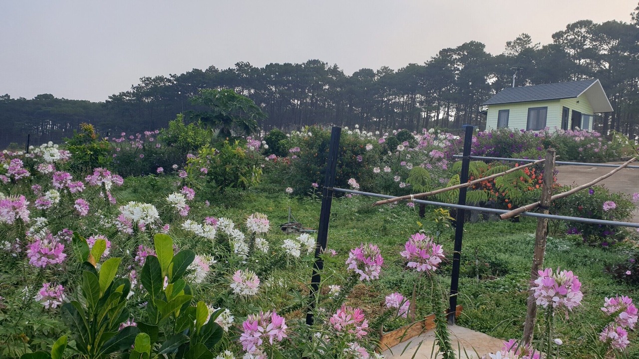 Photo of Outdoor in Bao Lam