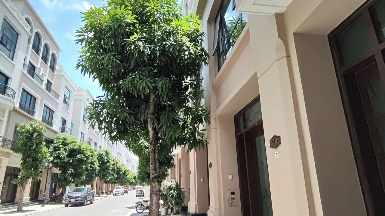 Photo of Outdoor in Long Hung