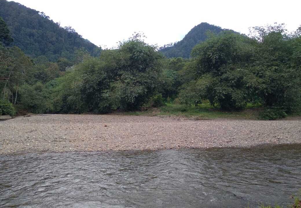 Photo of Others in Bohorok