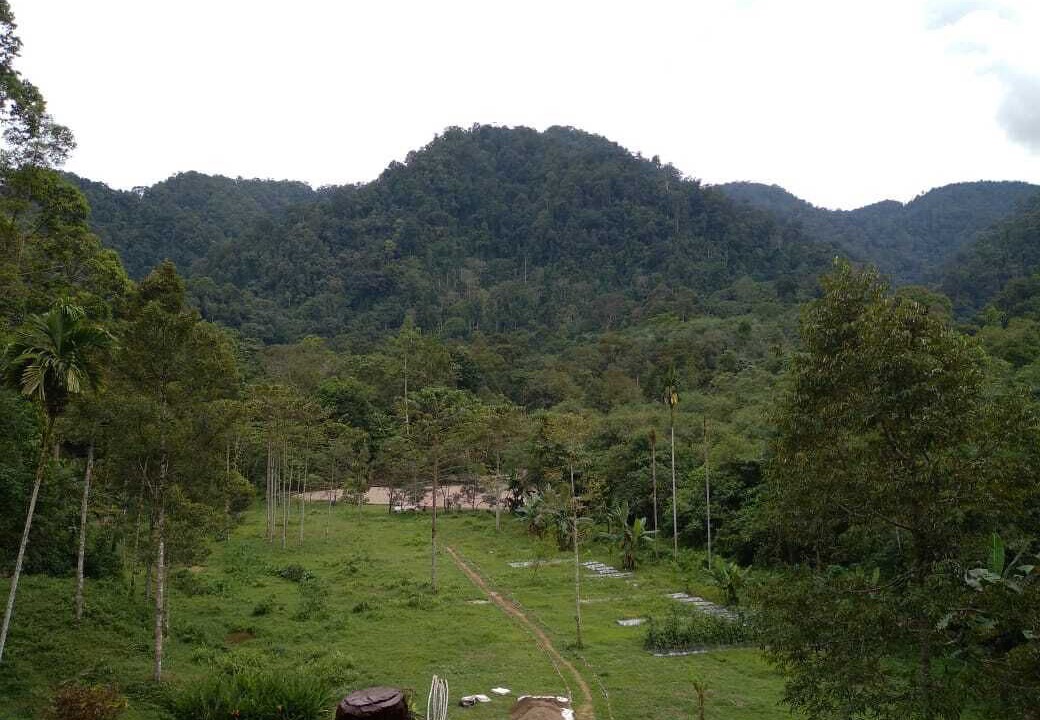 Photo of Others in Bohorok