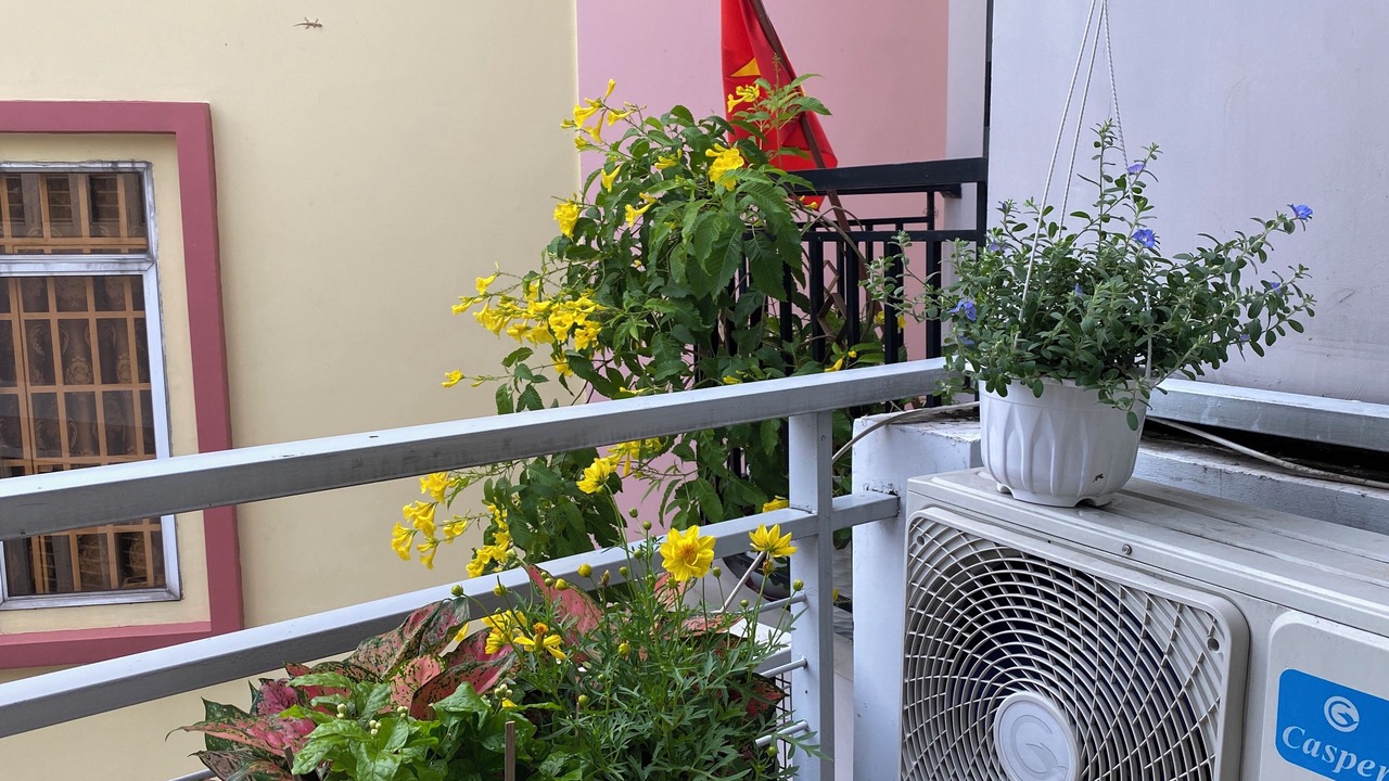Photo of Outdoor in Bach Dang Riverside