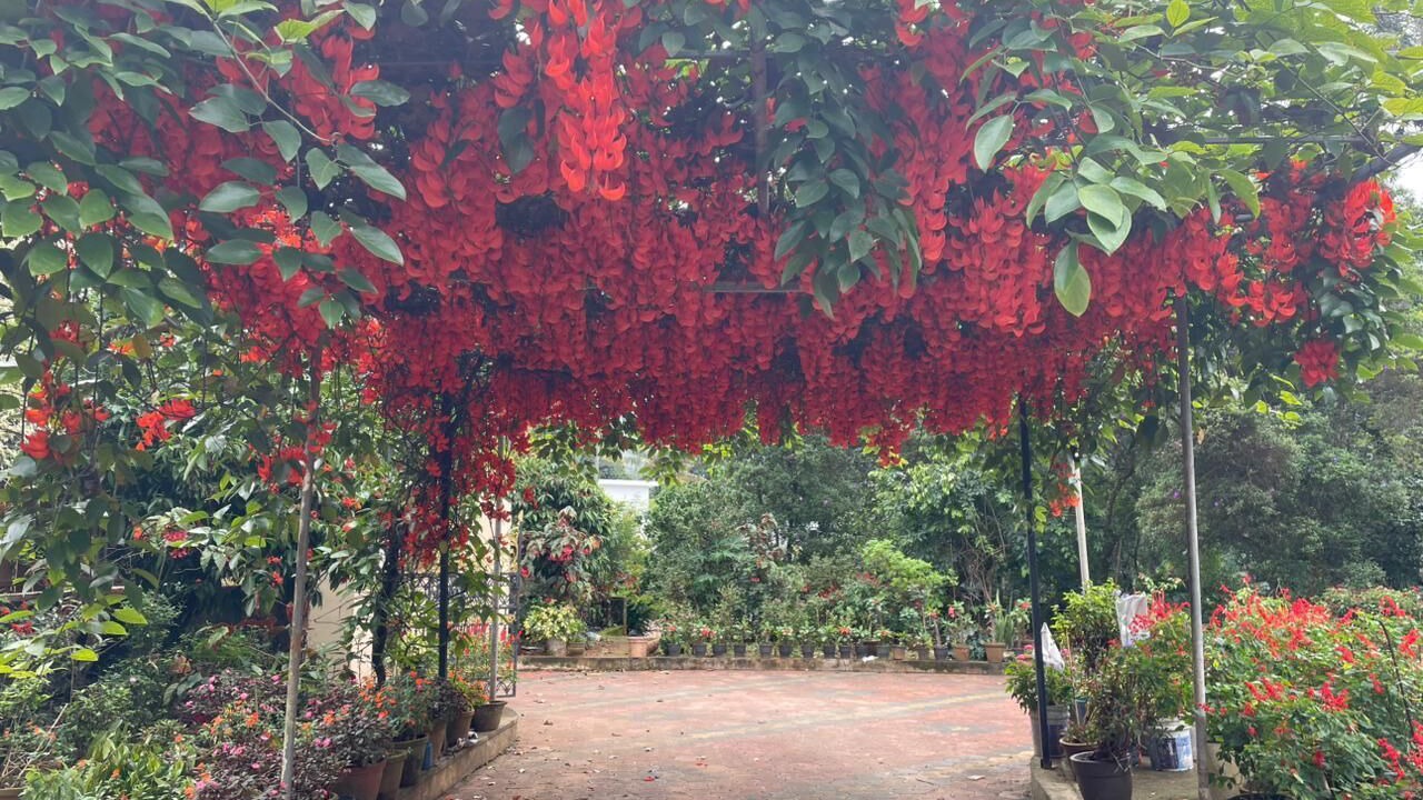 Photo of Outdoor in Devikolam